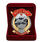 Знак в бархатистом футляре 217 Гв. ПДП  2