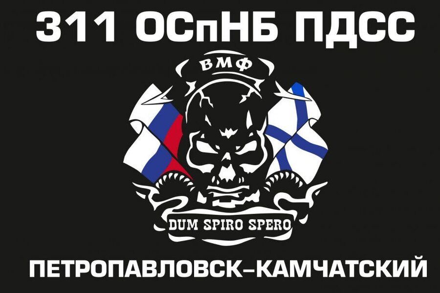 Флаг 311 ОСпНБ ПДСС Тихоокеанский флот 90x135 большой