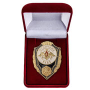 Знак в бархатистом футляре Отличник РХБЗ