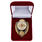 Знак в бархатистом футляре Отличник РХБЗ