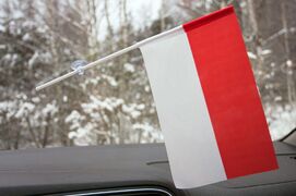 Флажок в машину с присоской Индонезии