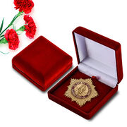 Знак в бархатистом футляре За службу в Германии