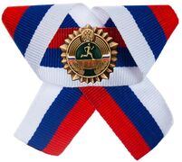 Бронзовый знак ГТО на ленте триколор
