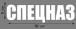 Термонаклейка принт Спецназ 