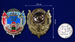 Знак КЗакПО ДШМГ Пограничный десант 3