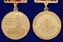 Знак в бархатистом футляре Николай Римский-Корсаков 10