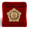 Знак в бархатистом футляре За службу в Германии 2