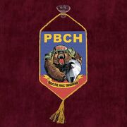 Вымпел с принтом РВСН на присоске