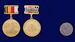 Знак в бархатистом футляре Николай Римский-Корсаков 11
