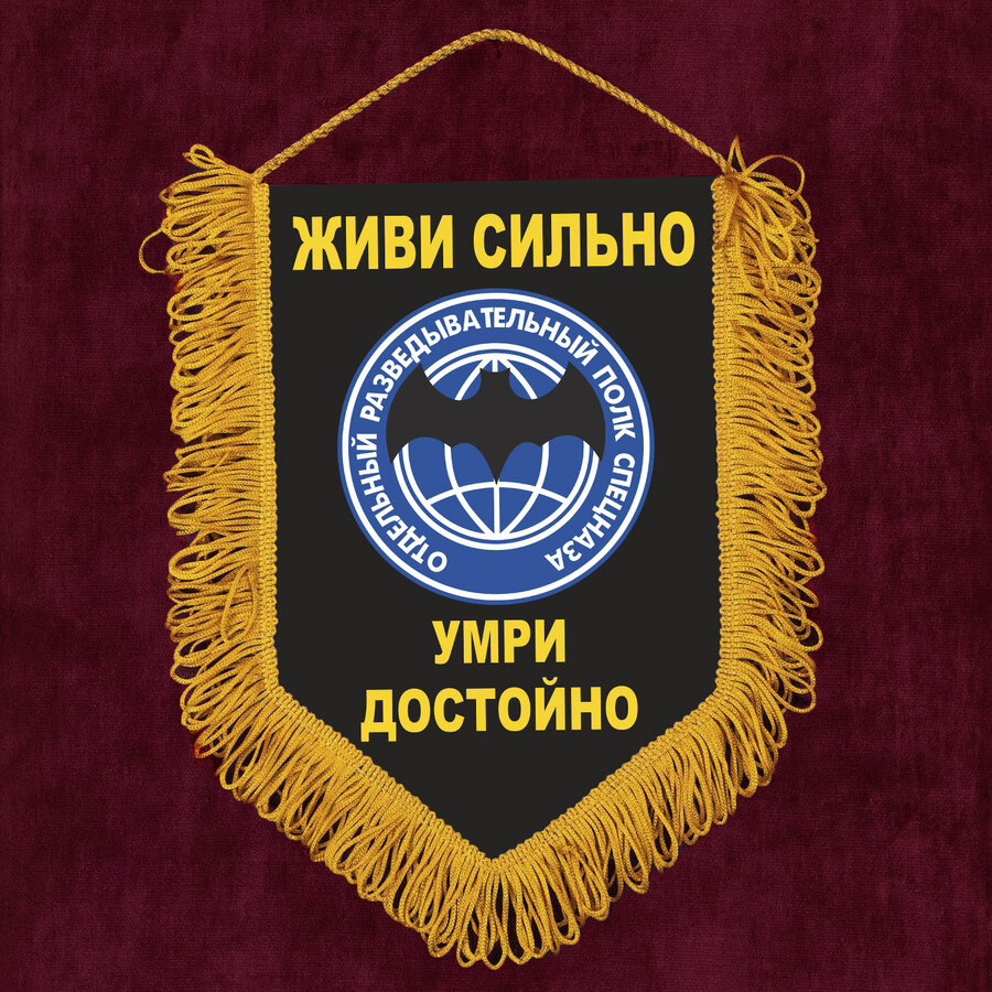 Вымпел Живи сильно, умри достойно!