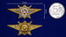 Знак в бархатистом футляре Росгвардии Классная квалификация Мастер 9