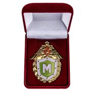 Знак в бархатистом футляре ФПС РФ Классный специалист мастер