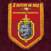 Вымпел 3-я ОБрСпН ВВ МВД Республики Беларусь
