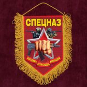 Наградной вымпел Спецназ с кулаком