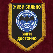 Военный вымпел Отдельный разведывательный полк спецназа