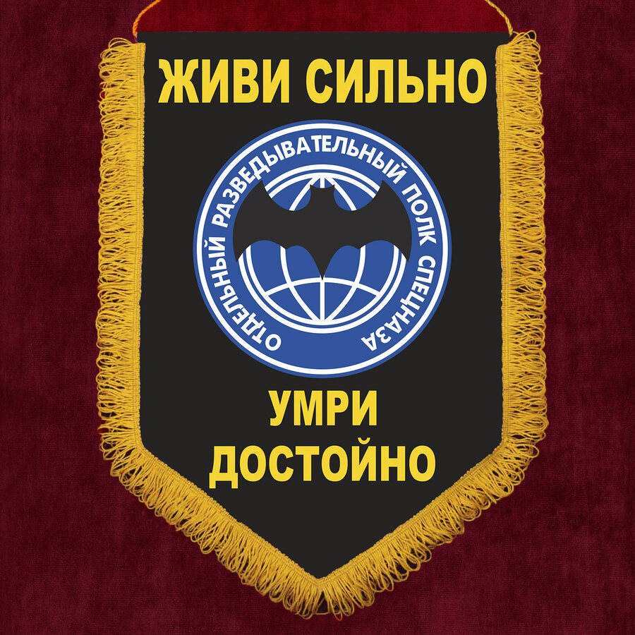 Военный вымпел Отдельный разведывательный полк спецназа