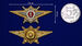 Знак Росгвардии Классная квалификация Мастер (специалист 1-го класса) 3
