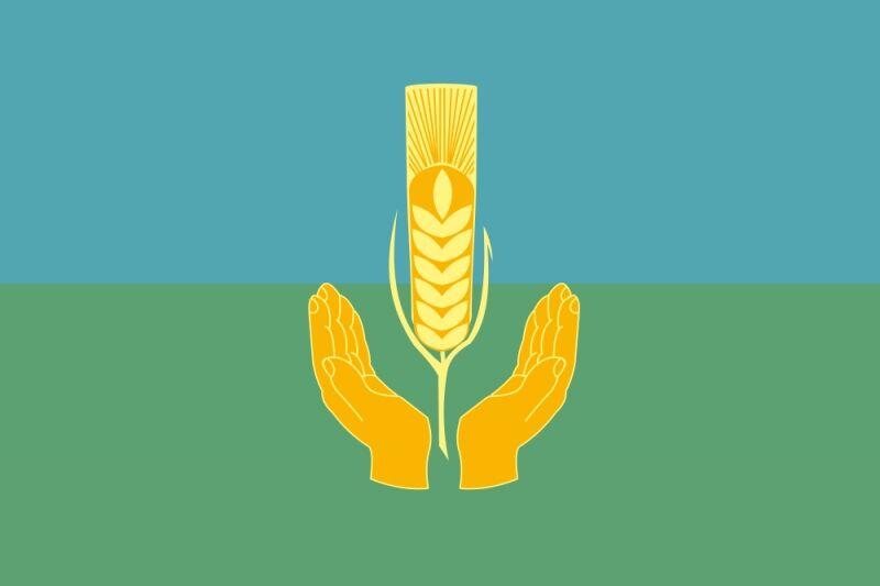 Флаг Похвистневского района Самарской области