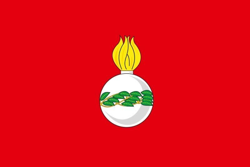 Флаг Чапаевска Самарской области 90x135 большой