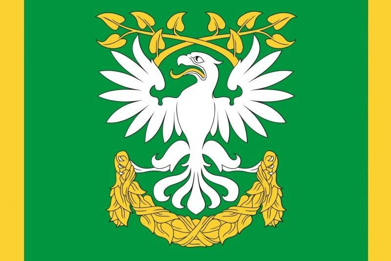 Флаг МО Пискаревка Санкт-Петербург