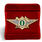Знак в бархатистом футляре ФТС  Специалист 1 класса 2