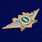 Знак в бархатистом футляре ФТС  Специалист 1 класса 6