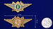 Знак в бархатистом футляре ФТС  Специалист 1 класса 7