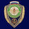 Знак Отличник Морской пехоты в наградной коробке с удостоверением в комплекте 4