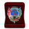 Знак в бархатистом футляре КДПО ДШМГ Пограничный десант 2
