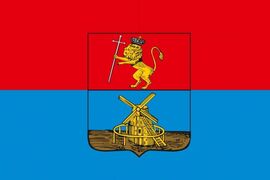 Флаг Меленок Владимирской области 90x135 большой
