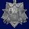 Знак 100 лет милиции России 3