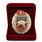 Знак в бархатистом футляре Росгвардии 607 ЦСН 2