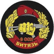 Шеврон Спецназа ВВ 6 ОСН Витязь