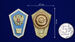 Знак Об окончании педагогического ССУЗа РФ 3