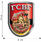 Термонаклейка ГСВГ (9х6 см) 2