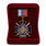 Знак в бархатистом футляре За службу России (чёрный) 3