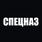 Футболка с трансфером Спецназ (Черная) 5