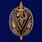 Знак Почетный работник ВЧК-ГПУ 1917-1922 (V) 1