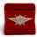 Знак в бархатистом футляре Росгвардии Классная квалификация Мастер (специалист 2-го класса) 2