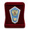 Знак в бархатистом футляре Об окончании педагогического ССУЗа РФ 2