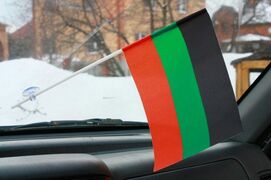 Флажок в машину с присоской Войска Терского