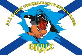 Флаг 313 отряд ПДСС