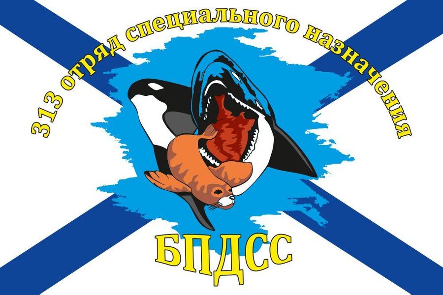Флаг 313 отряд ПДСС