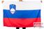 Флаг Словении
