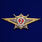 Знак в бархатистом футляре Росгвардии Классная квалификация Мастер (специалист 2-го класса) 6