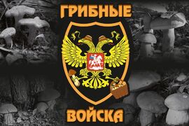 Флаг Грибные войска