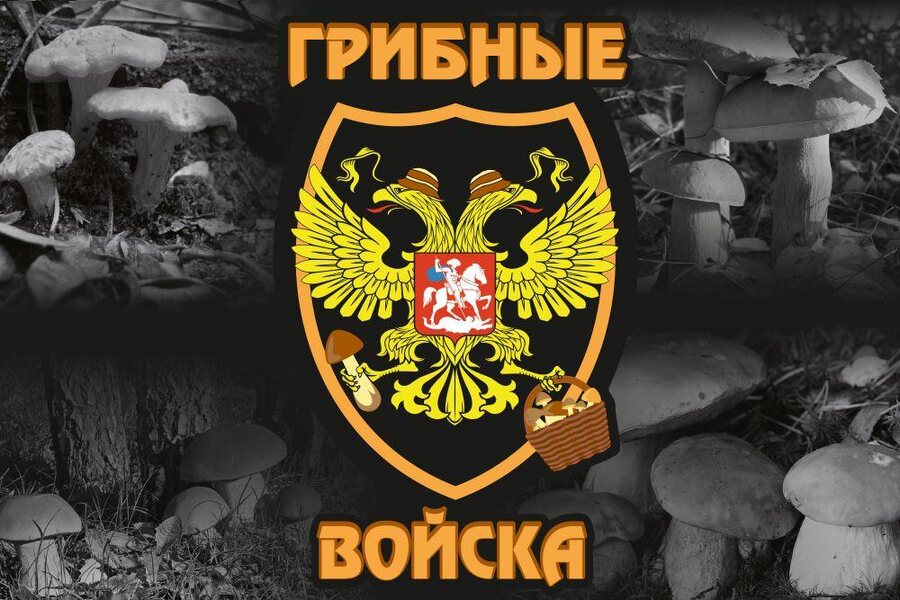 Флаг Грибные войска