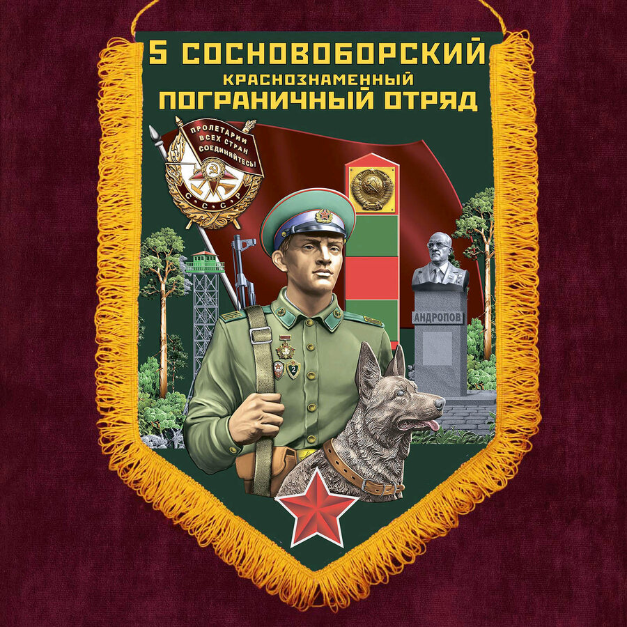Вымпел 5 Сосновоборский пограничный отряд