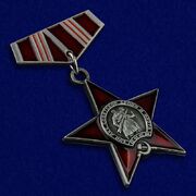 Фрачник ордена 100 лет Советской армии и флота копия