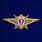 Знак Росгвардии Классная квалификация Мастер (специалист 3-го класса)